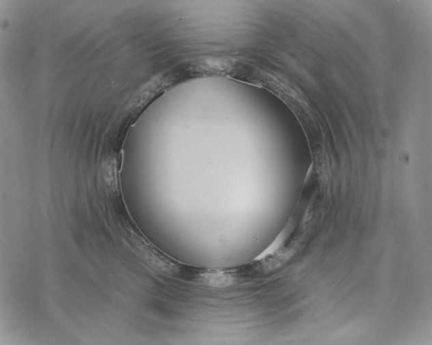 X0000072970425200608111721