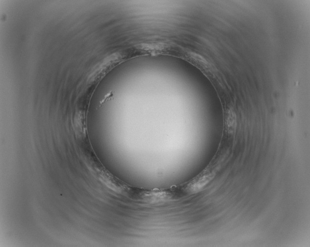 X0000072970428200608111721