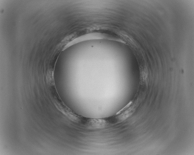 X0000072970429200608111721