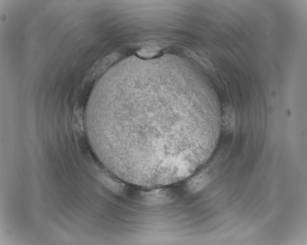 X0000072970430200608111721