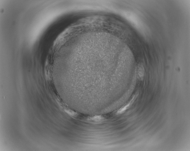 X0000072970431200608111721