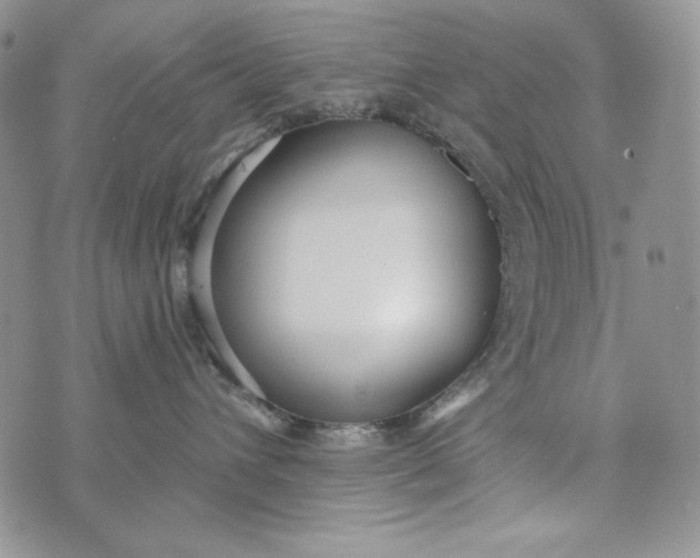 X0000072970432200608111721