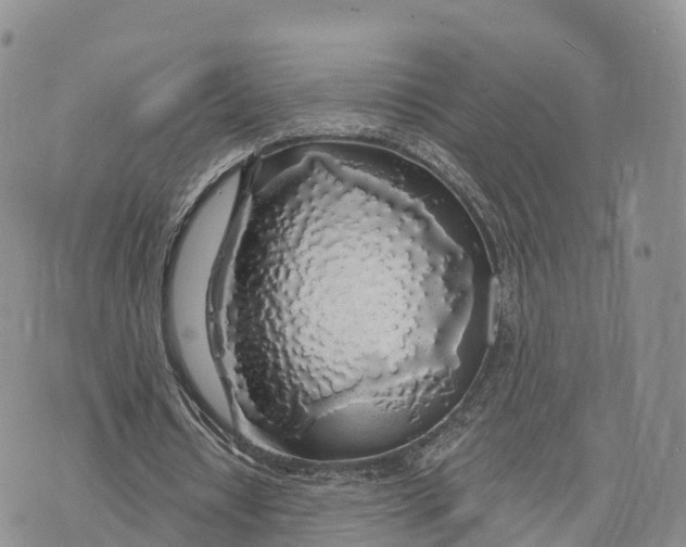 X0000072970434200608111720