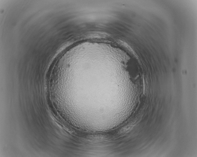 X0000072970435200608111720