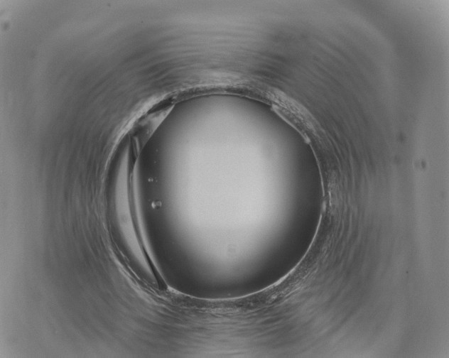 X0000072970436200608111720