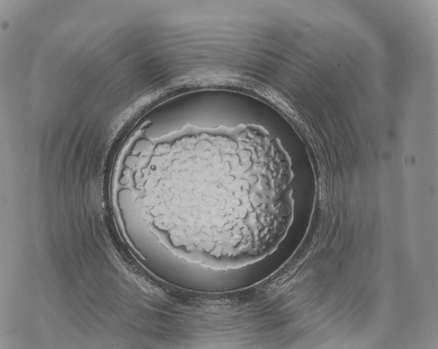 X0000072970438200608111720