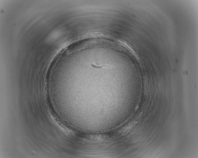 X0000072970439200608111720