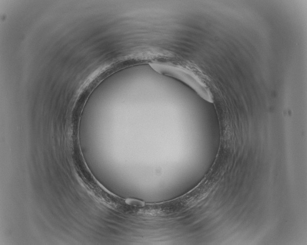 X0000072970440200608111720