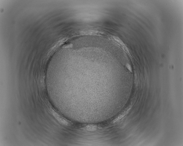 X0000072970441200608111720