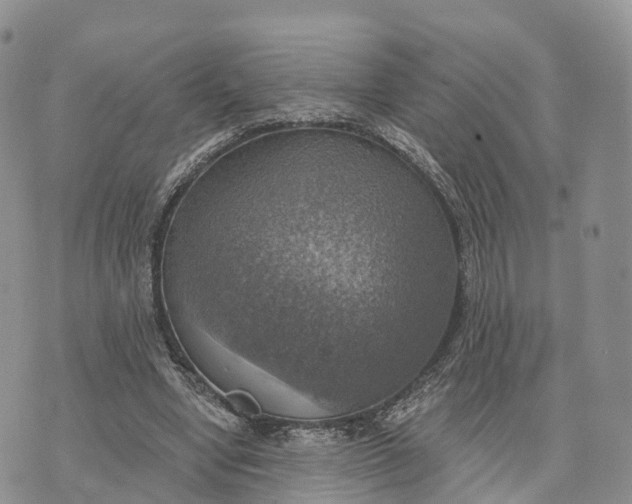 X0000072970442200608111720