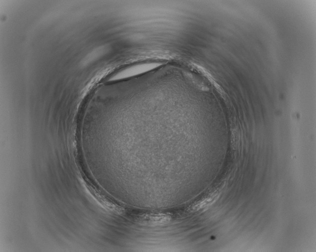 X0000072970443200608111720