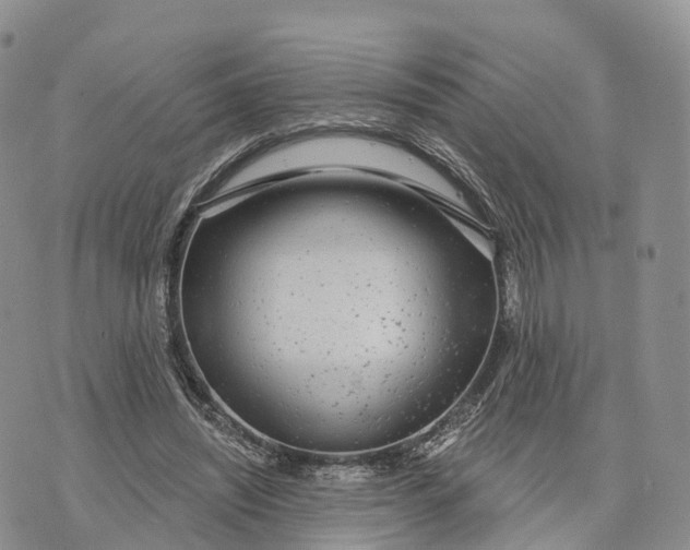 X0000072970444200608111720