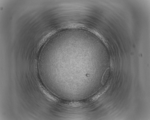 X0000072970445200608111720