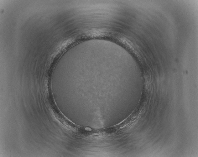 X0000072970447200608111720