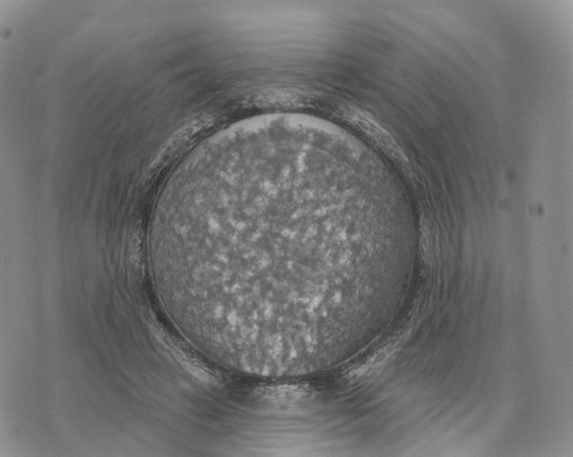 X0000072970449200608111720