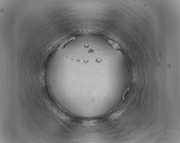 X0000072970450200608111720