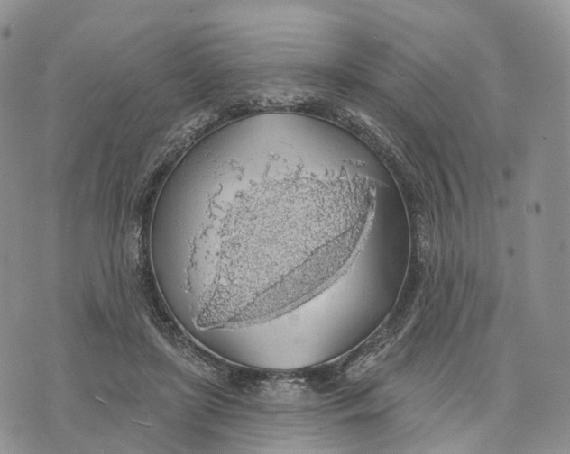 X0000072970451200608111720