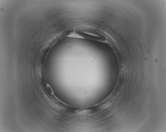 X0000072970452200608111720