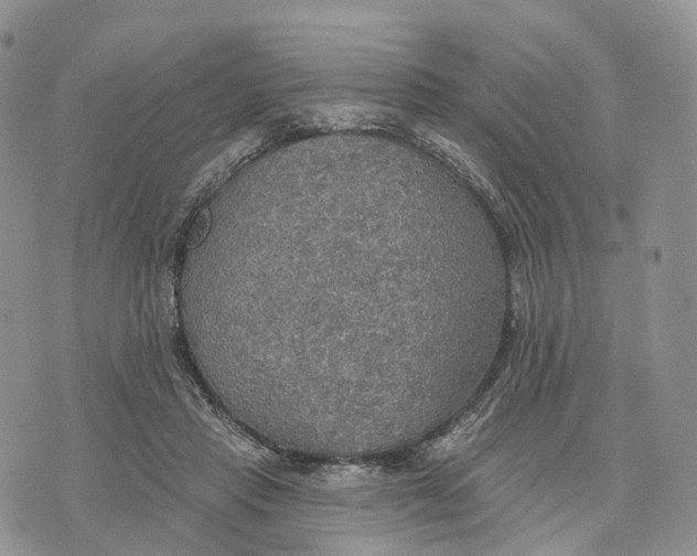 X0000072970453200608111720