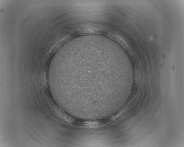 X0000072970457200608111720