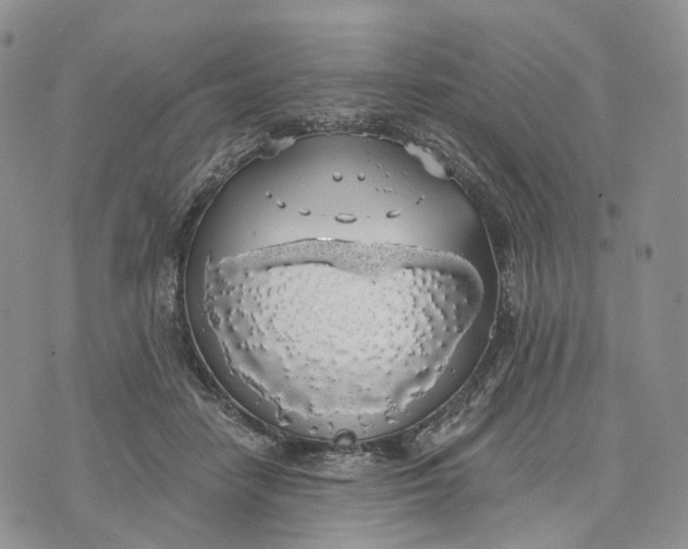 X0000072970458200608111720