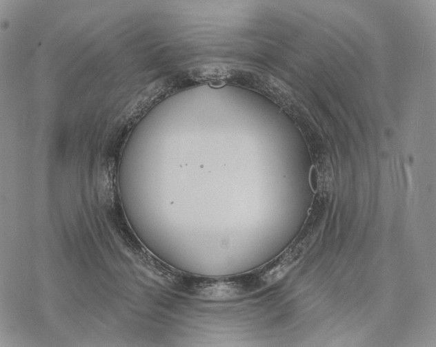 X0000072970460200608111720