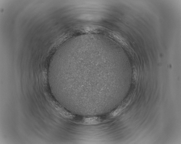 X0000072970461200608111720