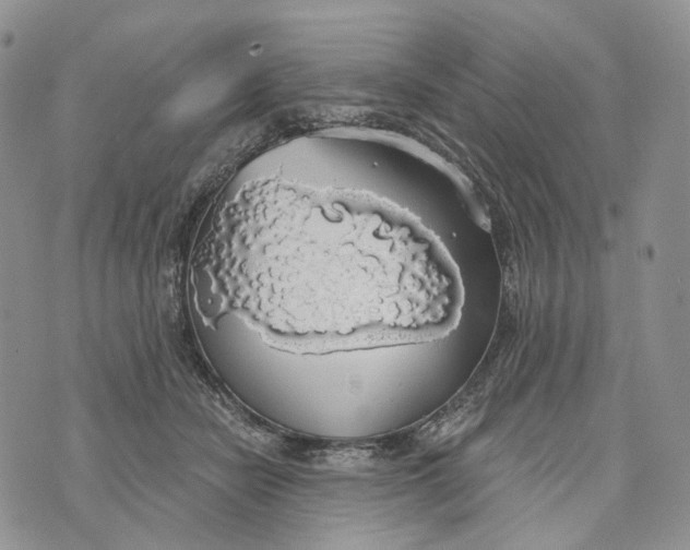 X0000072970462200608111720