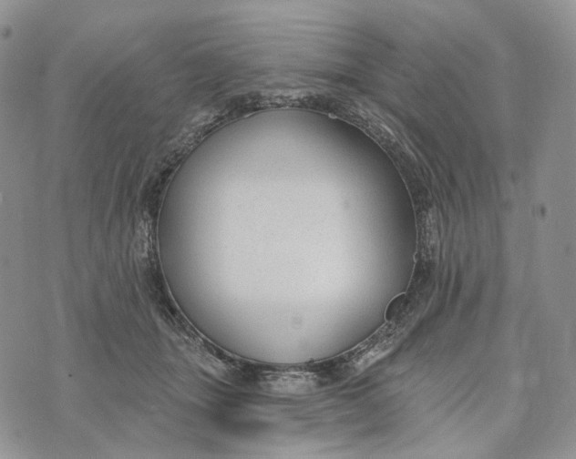 X0000072970463200608111720