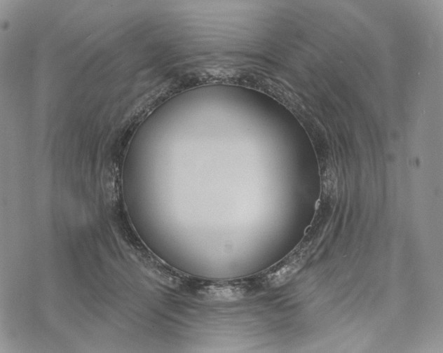 X0000072970464200608111720