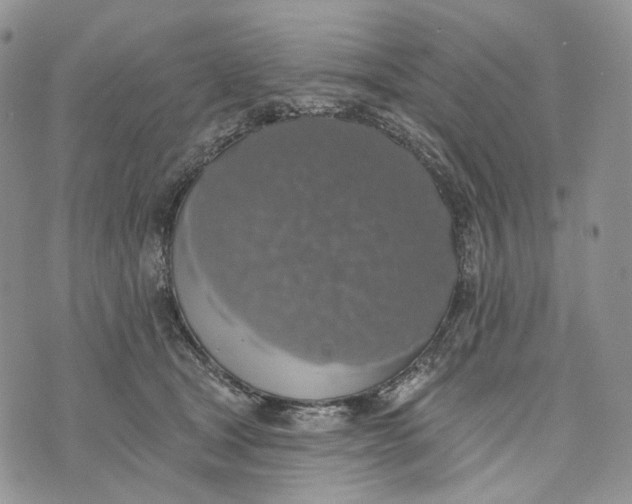 X0000072970465200608111720