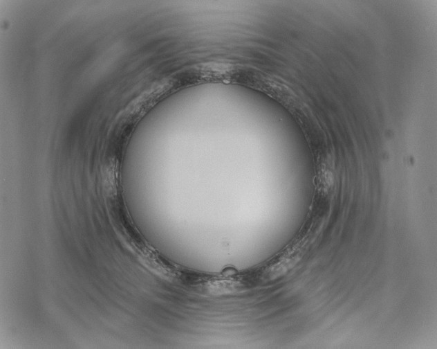 X0000072970468200608111720