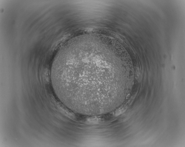 X0000072970470200608111721