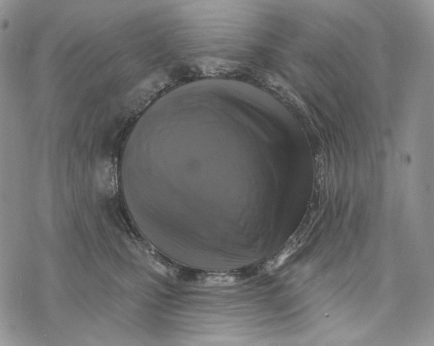 X0000072970471200608111721