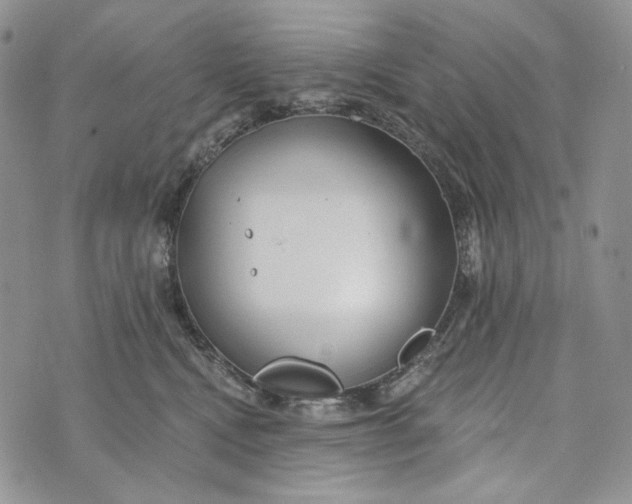 X0000072970472200608111721