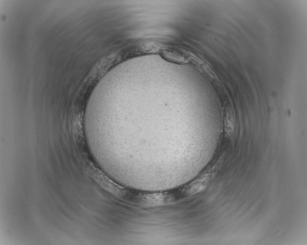 X0000072970473200608111721