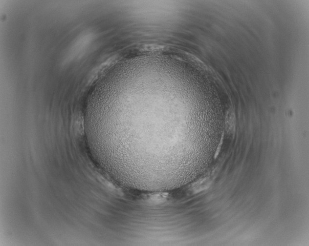 X0000072970474200608111721