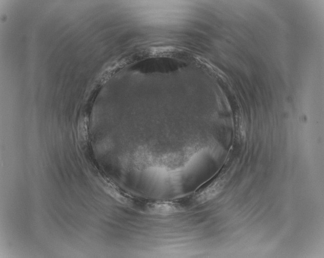 X0000072970475200608111721