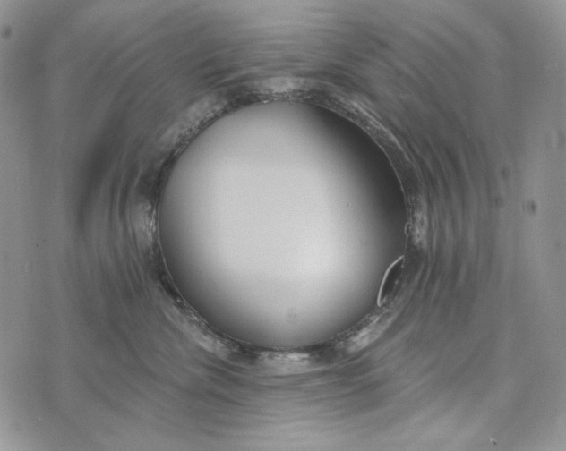 X0000072970476200608111721