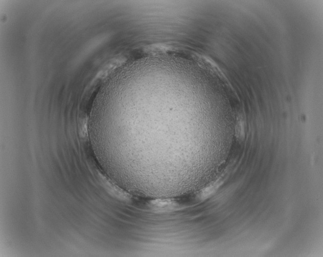 X0000072970477200608111721