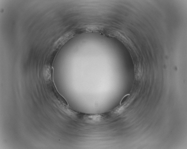 X0000072970478200608111721