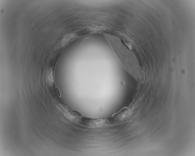 X0000072970479200608111721