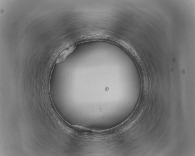 X0000072970481200608111720