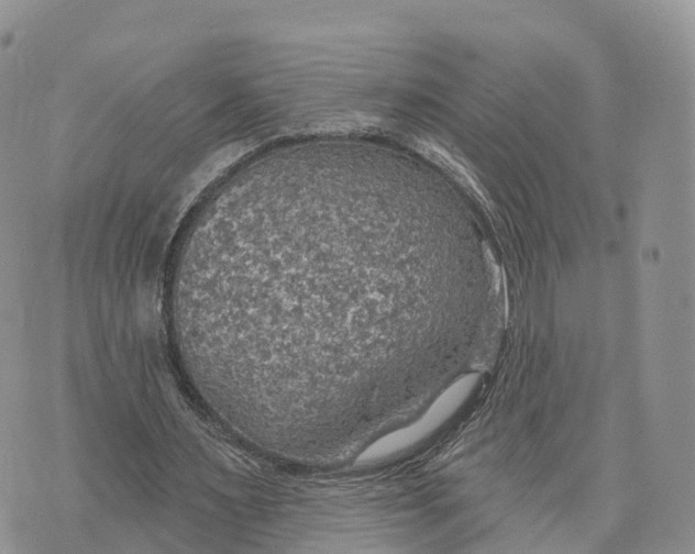 X0000072970483200608111720