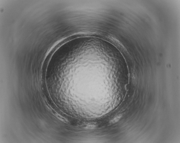 X0000072970484200608111720