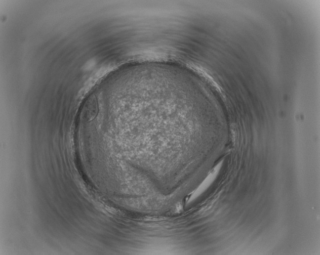 X0000072970487200608111720