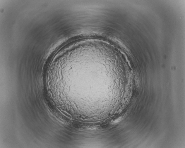 X0000072970488200608111720