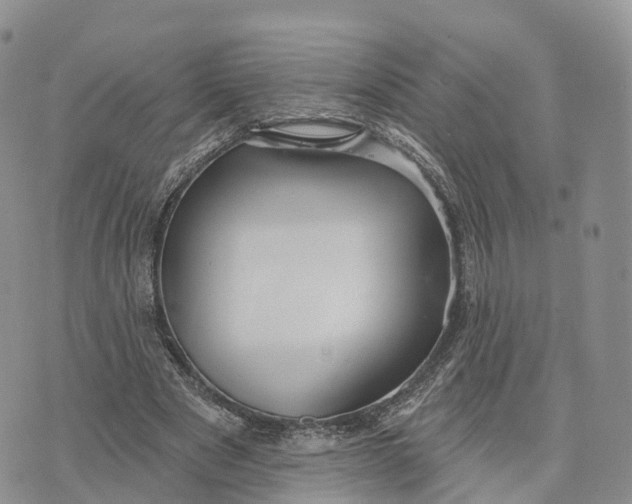 X0000072970489200608111720