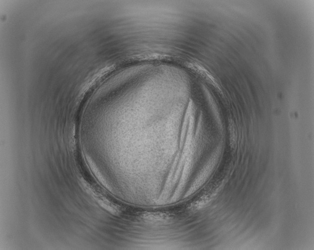 X0000072970490200608111720