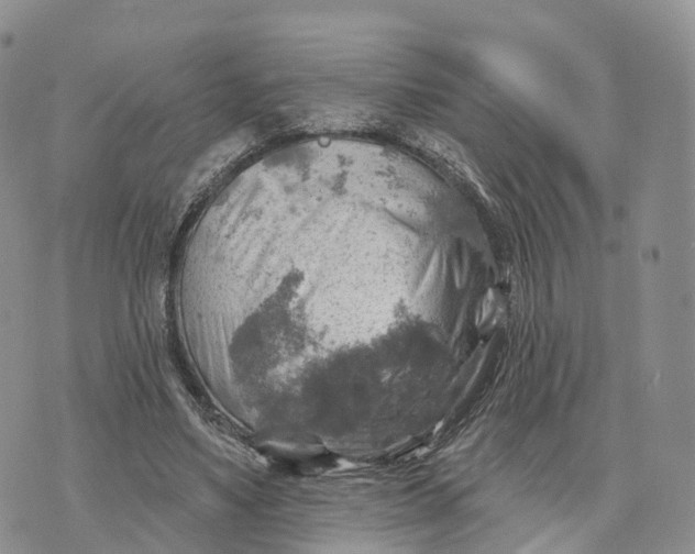 X0000072970491200608111720